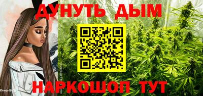 бошки Шебекино