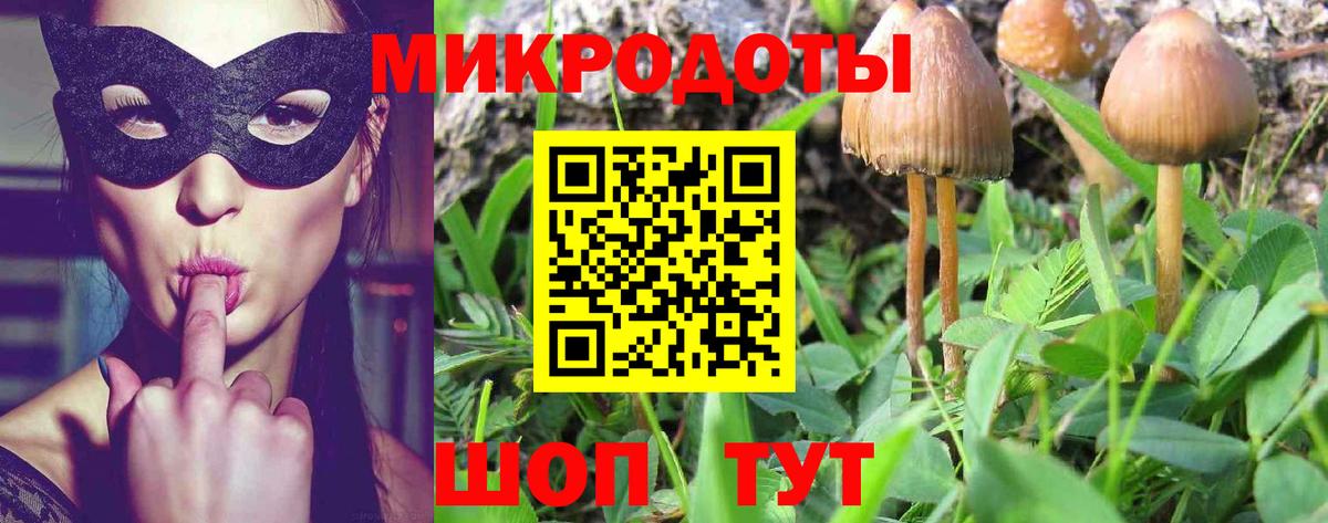 Галлюциногенные грибы Magic Shrooms  Вход с VPN  Борзя  Псилоцибиновые грибы Magic Shrooms 