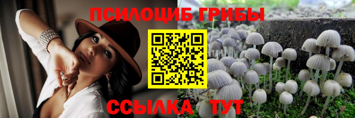 Галлюциногенные грибы ЛСД Борзя
